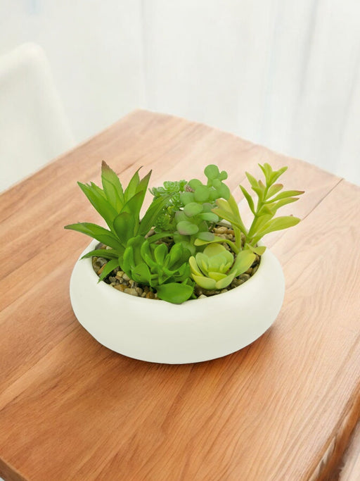 Sukkulentplantehave - Kunstig Sammensætning