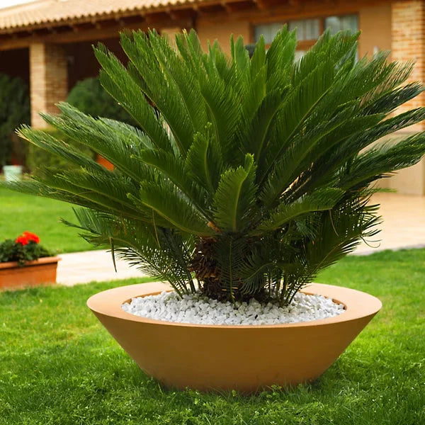 Centro Plantemaskine