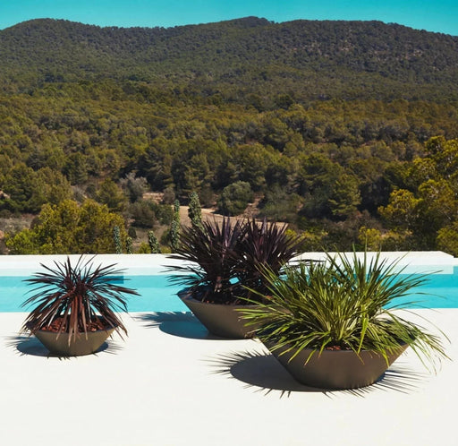 Centro Plantemaskine