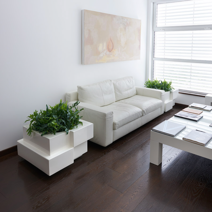 Cubic Yo Plantemaskine