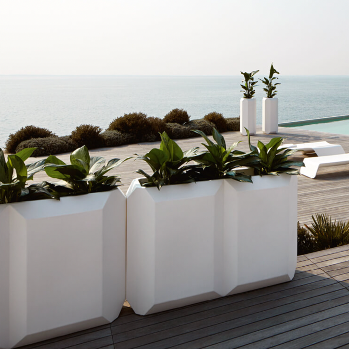 Ædelstens Planter
