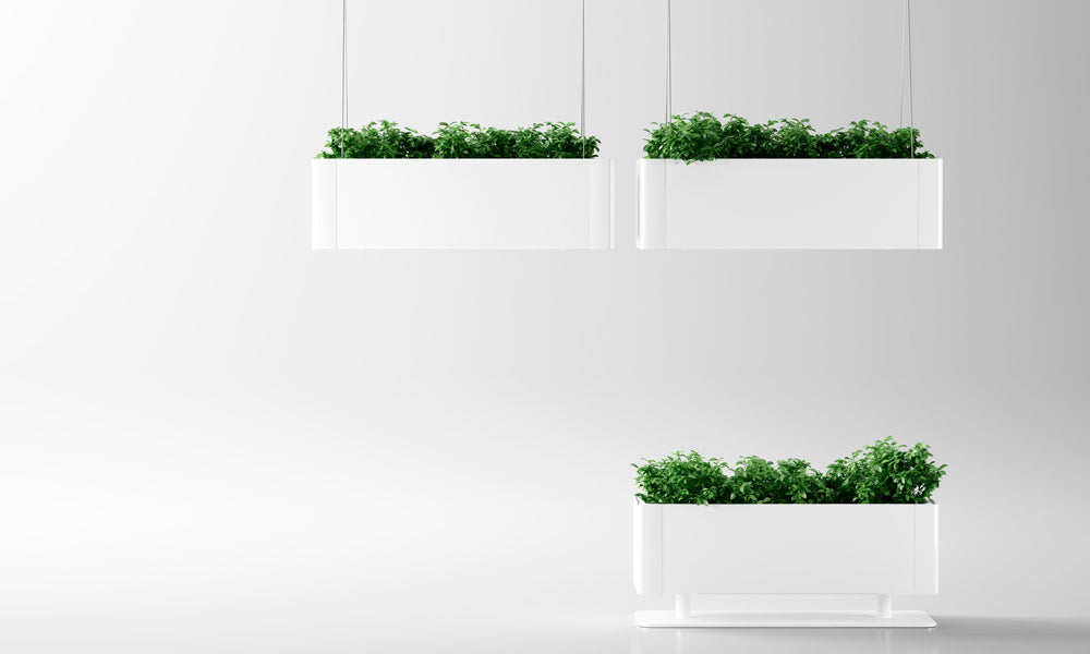Grønt Lys Hænge Plantekasse