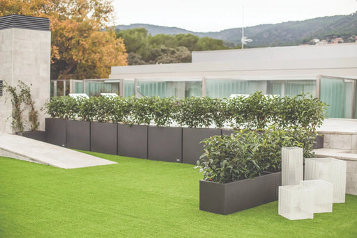 Urban Lav Plantemaskine