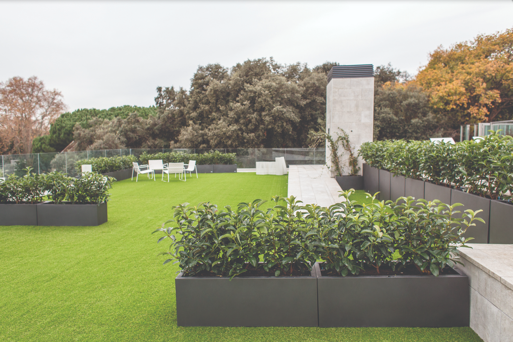 Urban Høje Planter