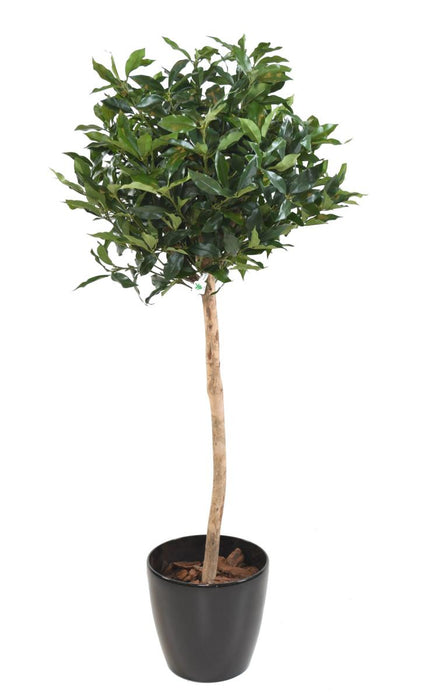Kunstig Laurbær Lusitanica 140 Cm Indendørs Plante