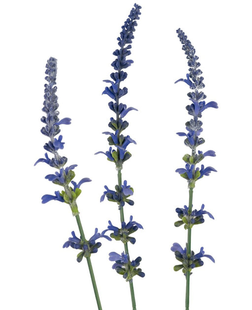 Lavendel - Kunstig Blomstrende Gren