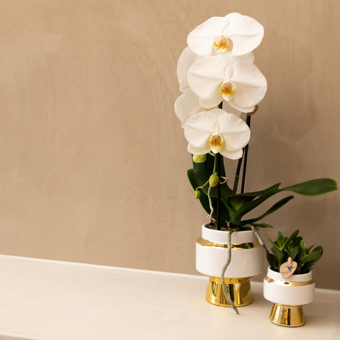 Le Chic Bloempot - Hvid Gryde Med Gulddetaljer