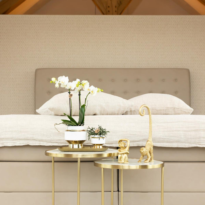 Le Chic Bloempot - Hvid Gryde Med Gulddetaljer