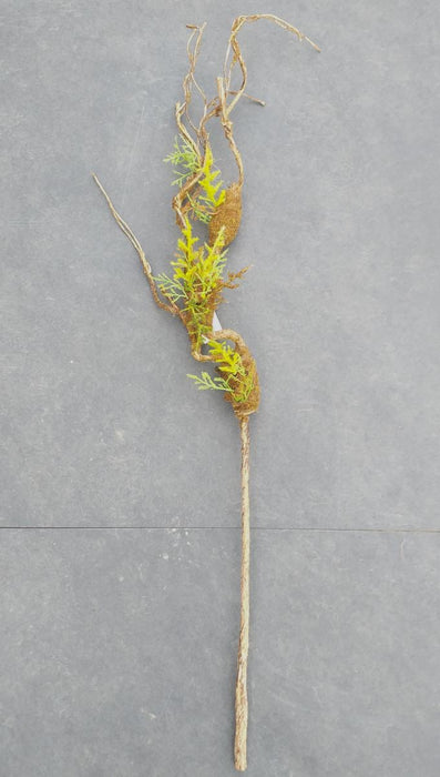 Kunstig Liana Med Mos Kugler 95 Cm