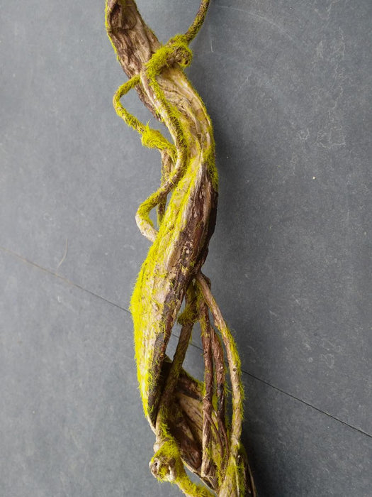 Kunstig Liana Med Mos Til Indretning