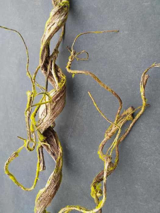 Kunstig Liana Med Mos Til Indretning