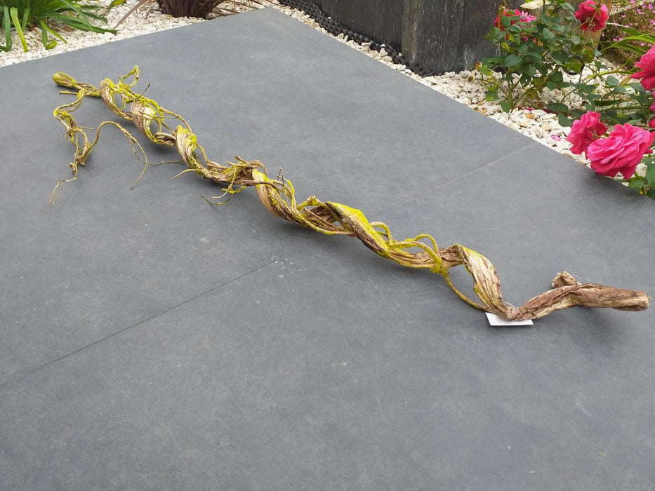 Kunstig Liana Med Mos Til Indretning