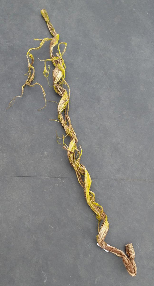 Kunstig Liana Med Mos Til Indretning