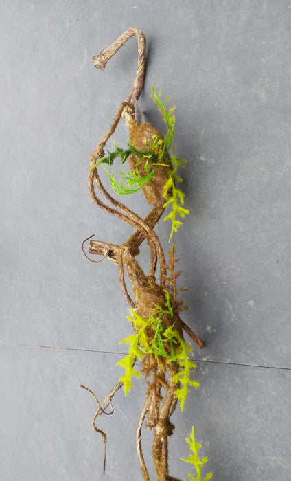 Kunstig Liana Moss 100Cm Indvendig Dekoration