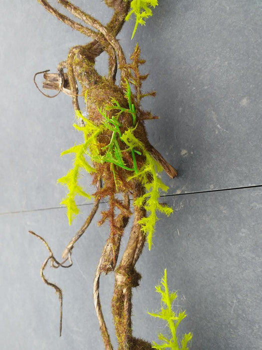 Kunstig Liana Moss 100Cm Indvendig Dekoration