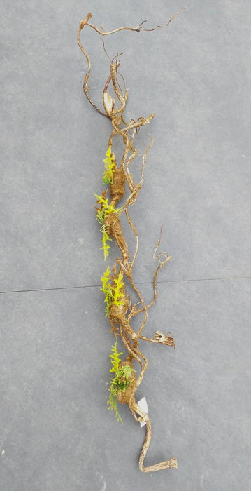 Kunstig Liana Moss 100Cm Indvendig Dekoration