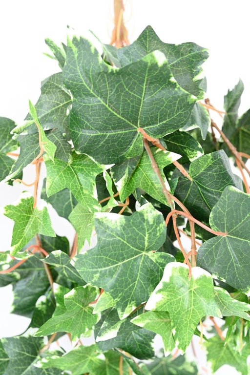 Kunstig Ivy 118 Blade 60Cm Grøn Hvid