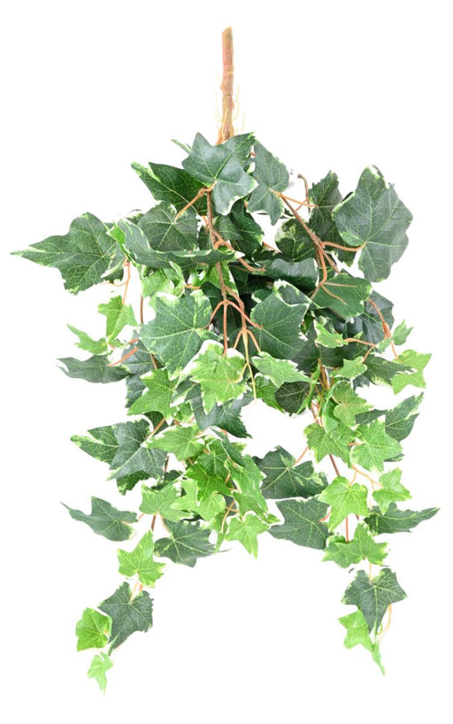 Kunstig Ivy 118 Blade 60Cm Grøn Hvid