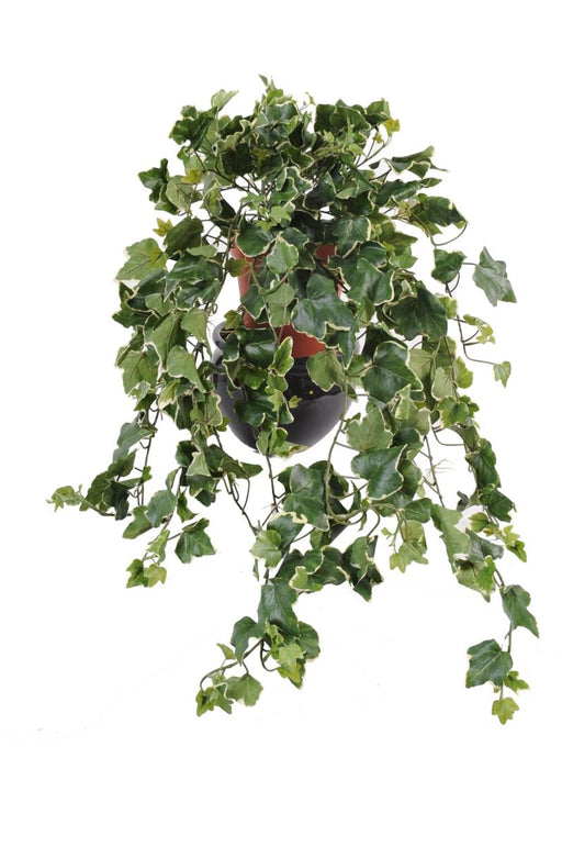 Kunstig Ivy Gala 75Cm Anti-Uv Til Udendørs