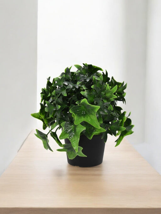 Ivy - Kunstig Udendørs Plante I Potte
