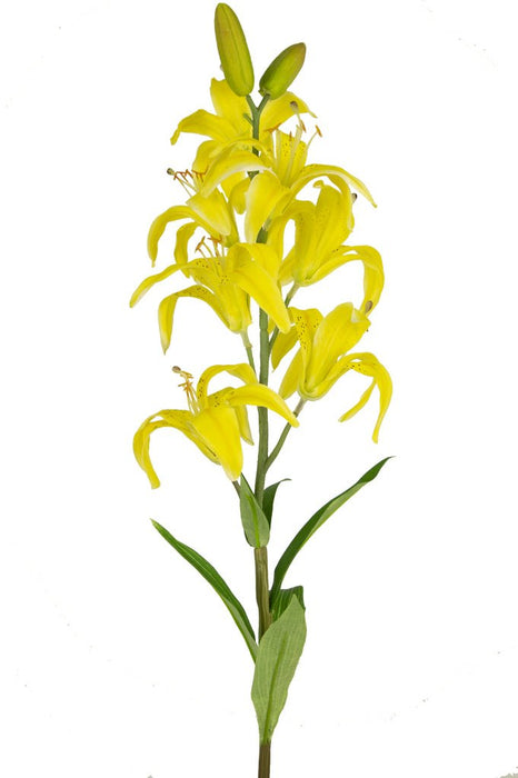 Gul Kunstig Martagon Lily