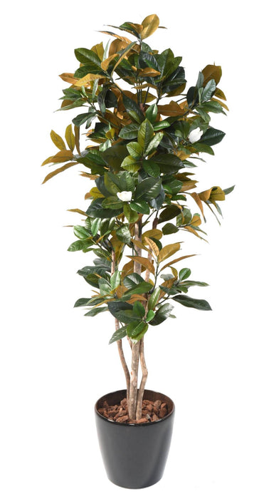 Kunstig Magnolia Blomst 8 Blomster 185 Cm Hvid