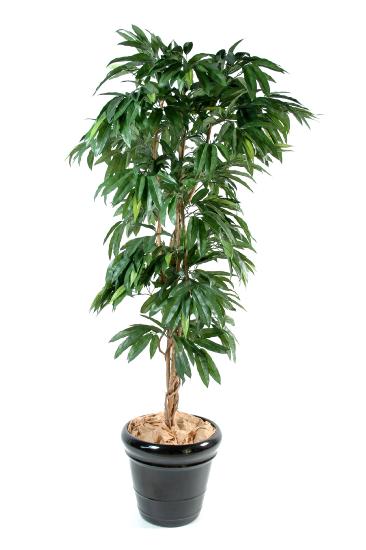 Kunstigt Mangotræ 150 Cm Dekorativ Indendørs Plante