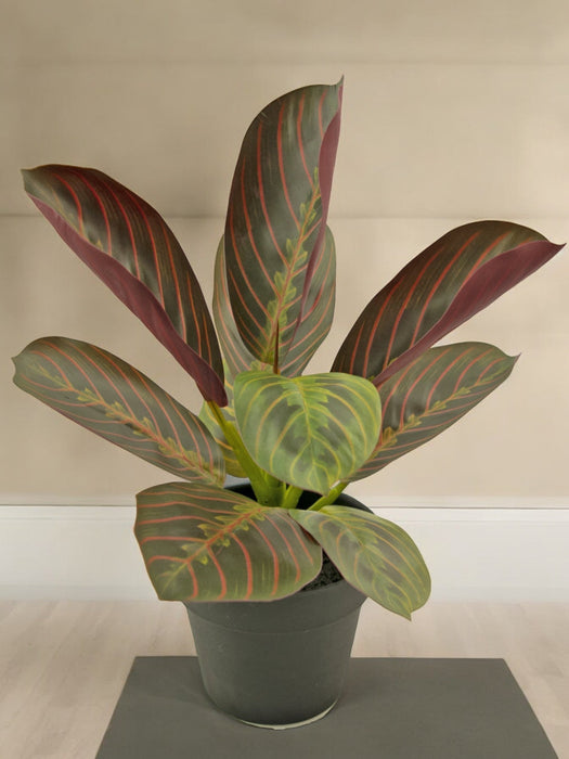 Maranta - Kunstig Grøn Plante