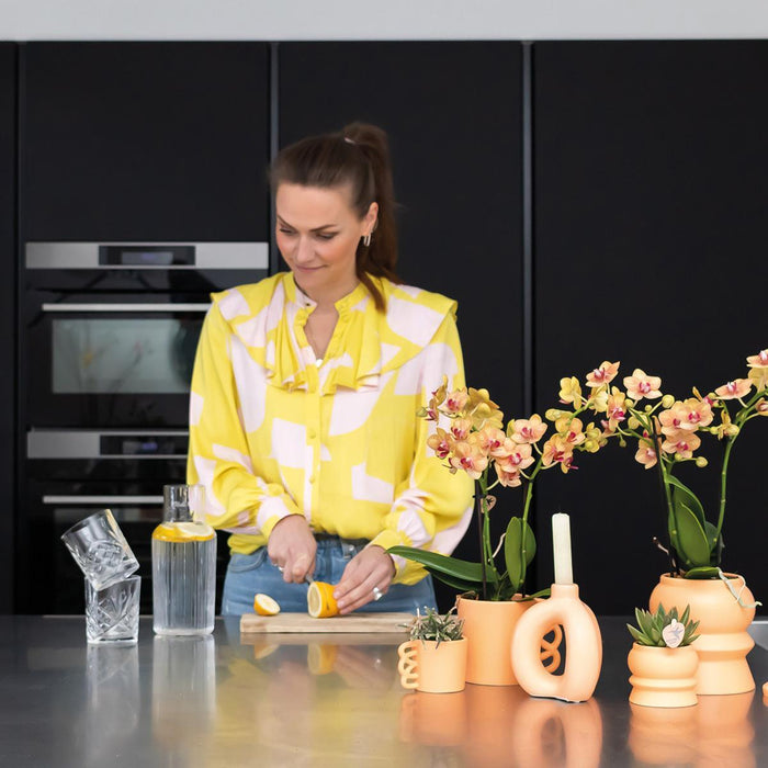 Blanding Af 3 Sukkulente Planter Og Deres Ferskenkeramiske Plantepotter