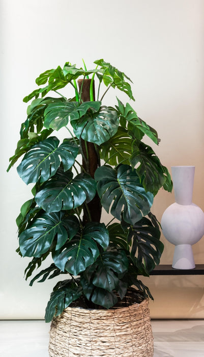 Monstera Deliciosa Kunstig Plante - H150Cm, Ø12Cm