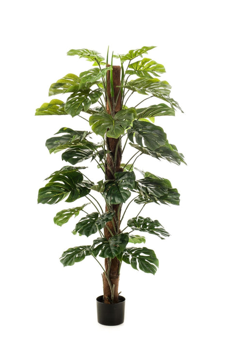 Monstera Deliciosa Kunstig Plante - H150Cm, Ø12Cm