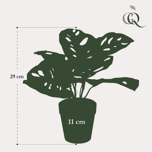Monstera Monkey Kunstig Plante - H29Cm, Ø18Cm