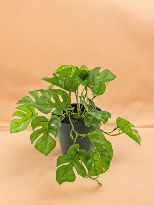 Monstera - Kunstig Grøn Plante