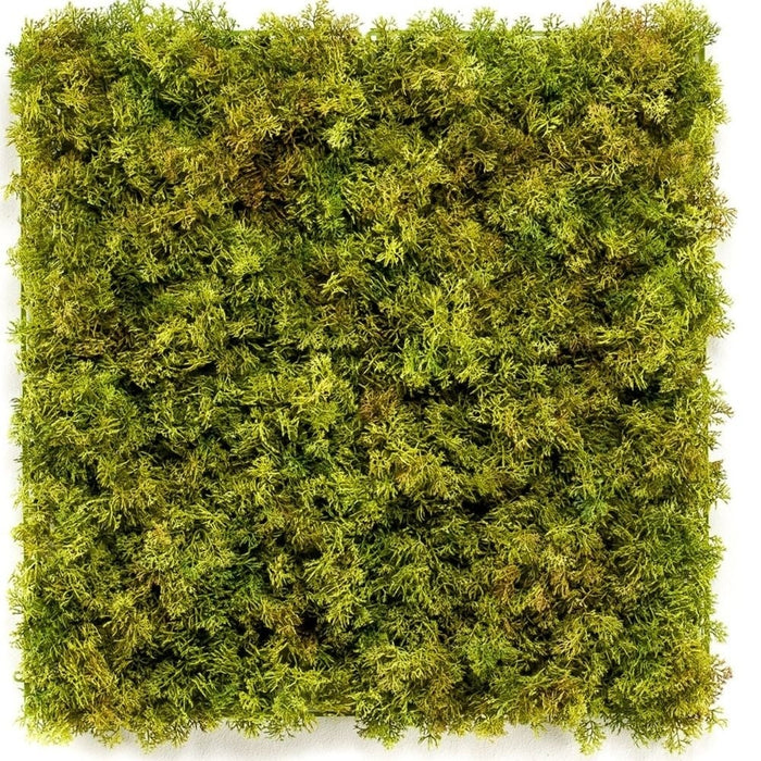 Nordic Moss - Kunstig Grøn Væg
