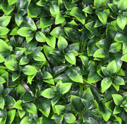 Kunstig Plantevæg 50X50Cm Vægdekoration