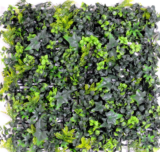 Kunstig Grøn Væg Ivy Buksbom 50X50Cm