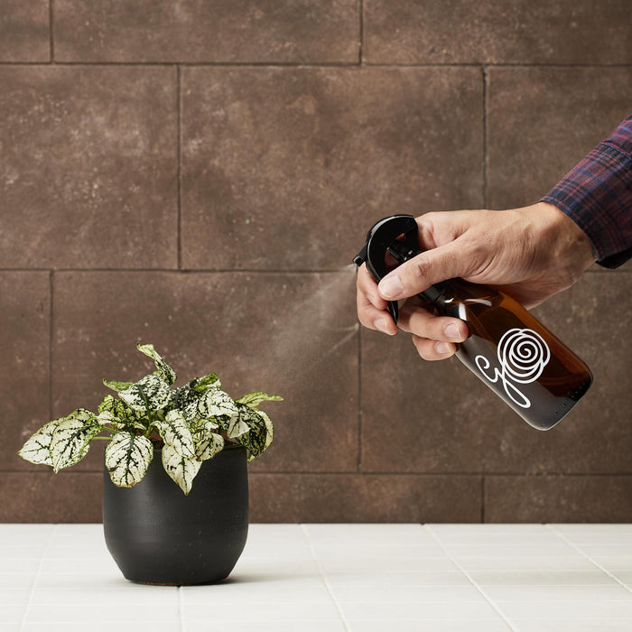 Naturlig Stueplanterens – Renser Og Beskytter
