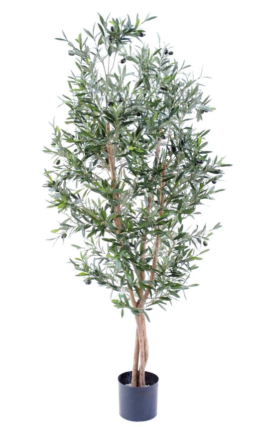 Kunstigt Oliventræ 3 Stammer H.150Cm Indvendig Dekoration