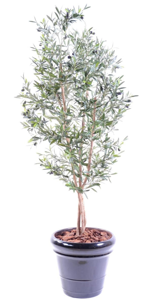Kunstigt Oliventræ 3 Stammer H.150Cm Indvendig Dekoration