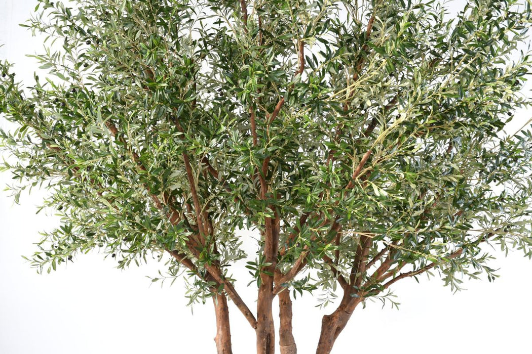 Kunstigt Oliventræ 330 Cm Indendørs Plante