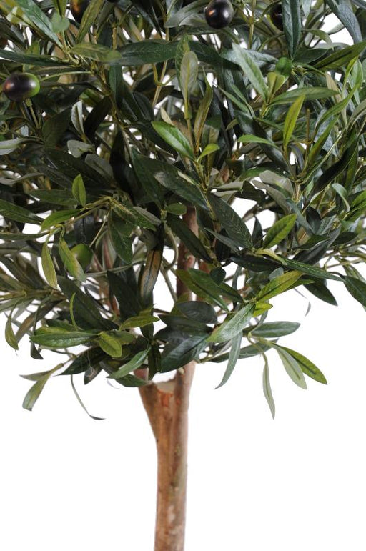 Kunstigt Oliventræ 90 Cm Indendørs Plante