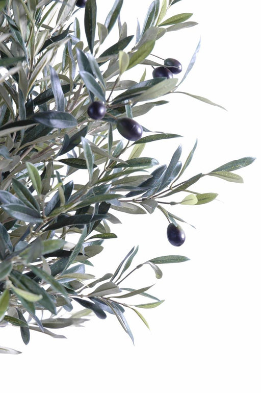 Indendørs Kunstigt Oliventræ 180 Cm Dekorativ Plante