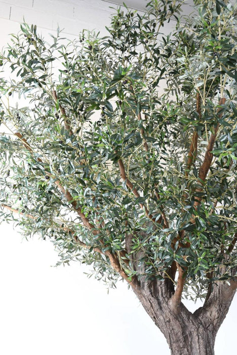 Indendørs Kunstigt Oliventræ 390 Cm På Tallerken