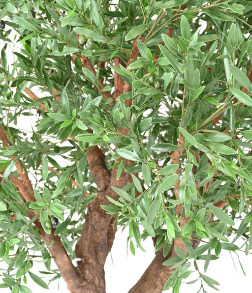 Uv-Resistent Kunstigt Oliventræ Til Udendørs Design