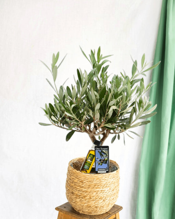 Olivier I Sin Taupe Keramiske Gryde H35Cm