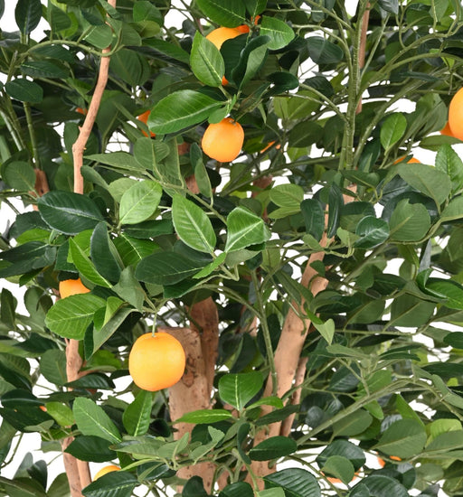 Kunstigt Appelsintræ 185 Cm Med 34 Appelsiner Dekoration