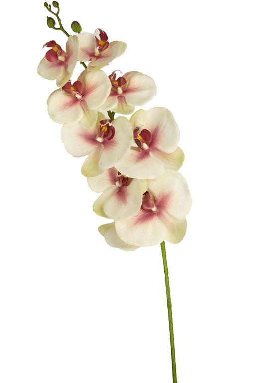 Real Touch Deluxe Artificial Orchid Pink/White