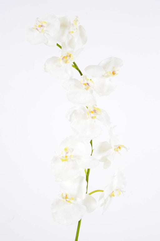 Kunstig Phalaenopsis Orkidé 10 Blomster 160 Cm Hvid