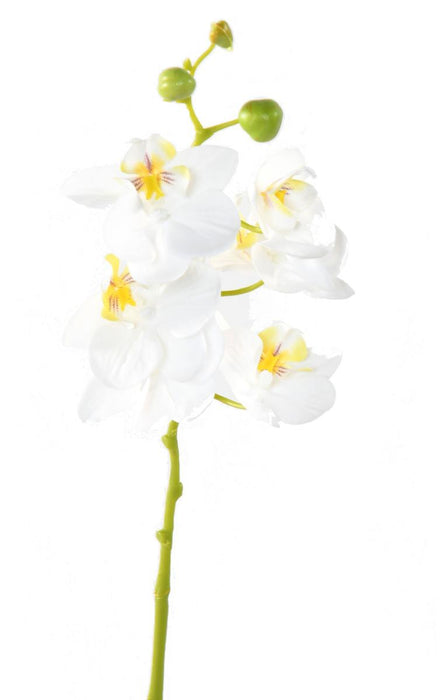 Kunstig Phalaenopsis Orkidé 60 Cm Hvid 6 Blomster