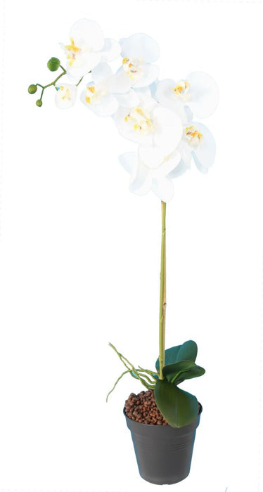 Kunstig Phalaenopsis Orkidé 76 Cm Hvid